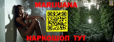 прущие грибы Чебоксары
