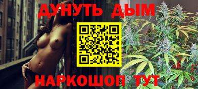 прущие грибы Чебоксары