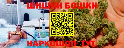 прущие грибы Чебоксары