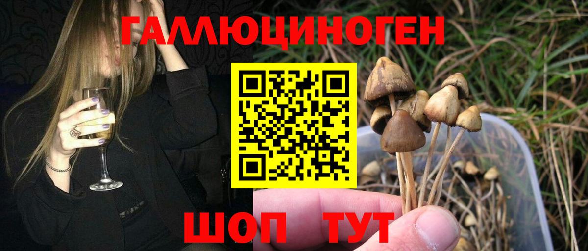 Псилоцибиновые грибы прущие грибы Азнакаево